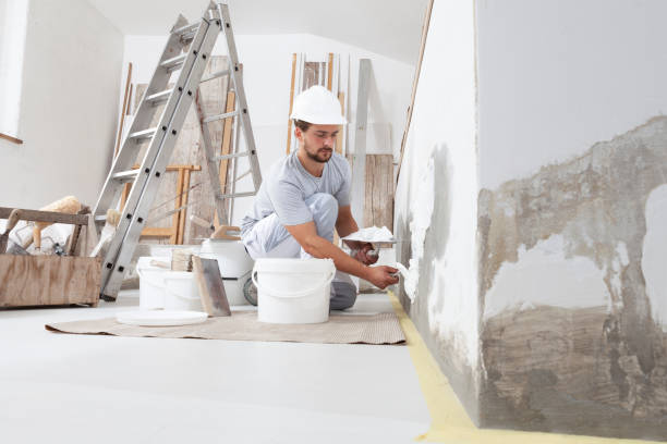 Best Trim and Molding Painting  in Lake Summerset, IL